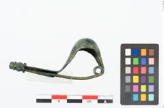 Foto von Bronzepaukenfibel (NHMW-PRAE-025637)